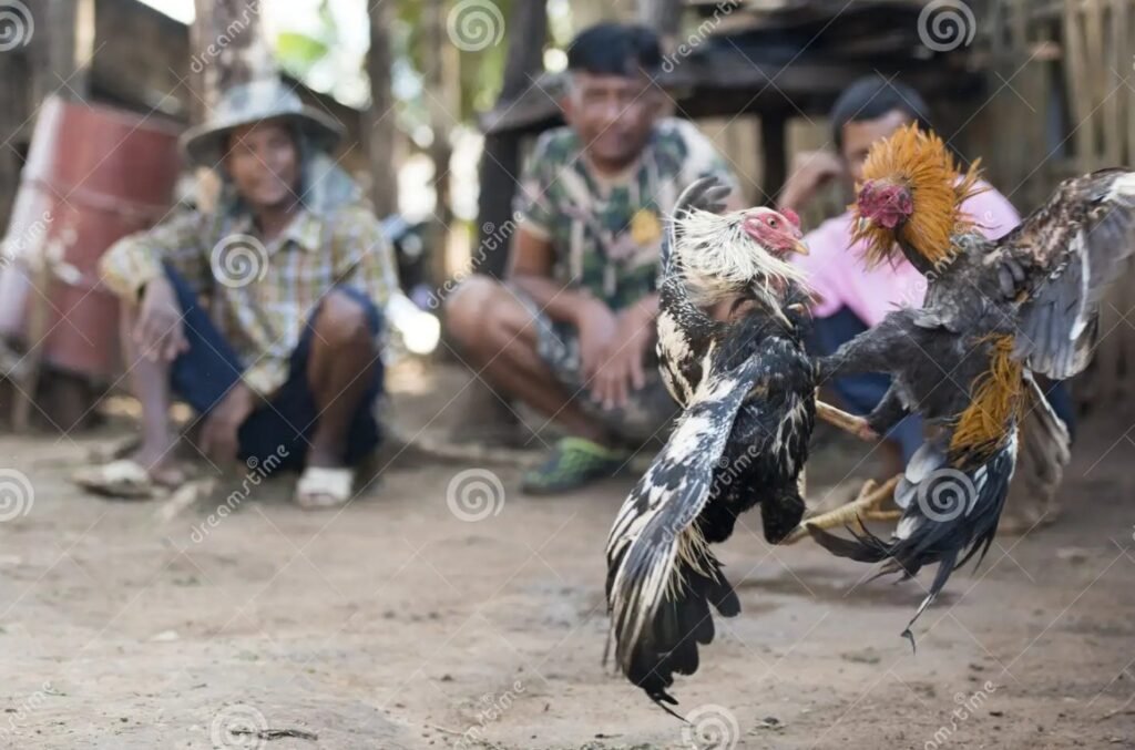 Kỹ Thuật Om Bóp & Vào Nghệ (Key Success Factor)