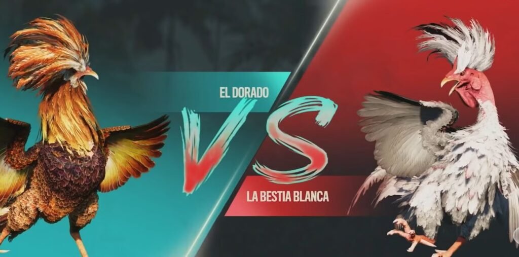 Kỹ Thuật Soi Kèo Đá Gà "Bất Bại" Từ Cao Thủ