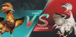 Kỹ Thuật Soi Kèo Đá Gà "Bất Bại" Từ Cao Thủ