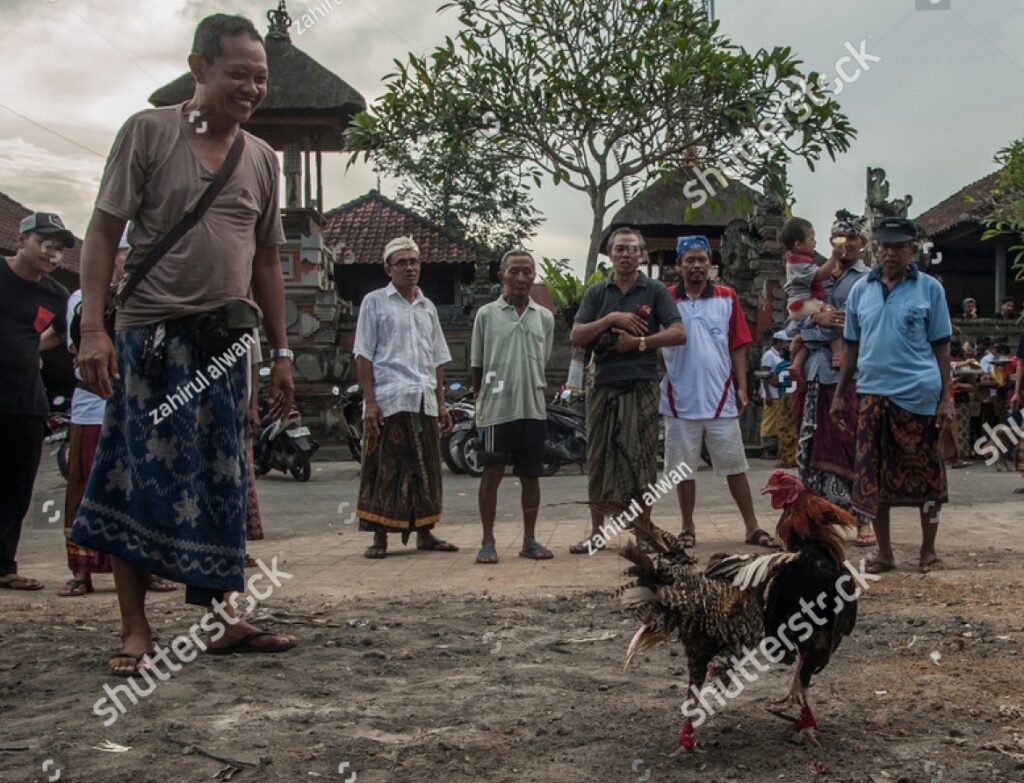 Chế độ vận động và phơi nắng sáng tăng cường sức bền