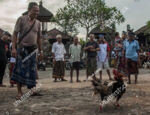 Chế độ vận động và phơi nắng sáng tăng cường sức bền