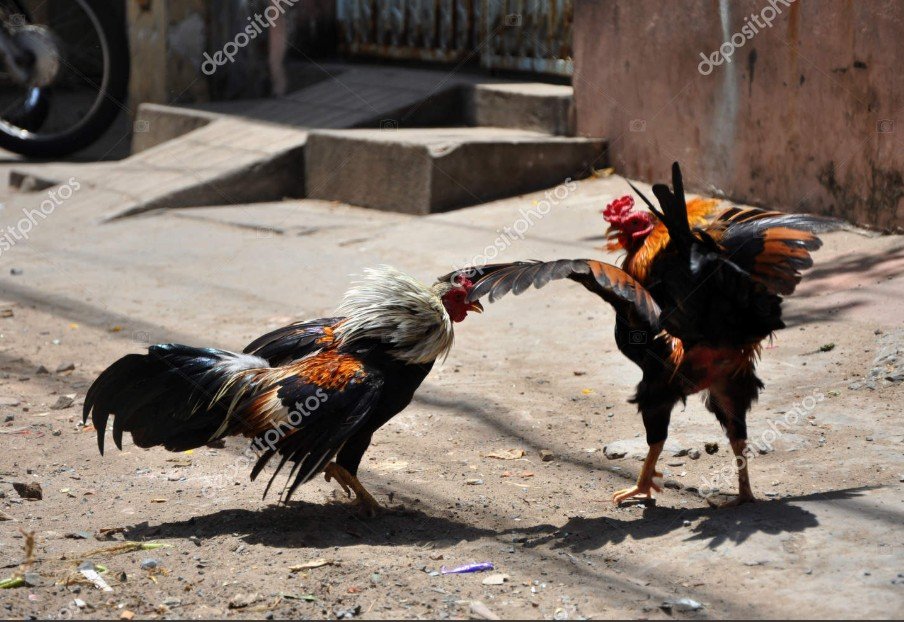 Cách quan sát phản xạ mắt trong các điều kiện môi trường