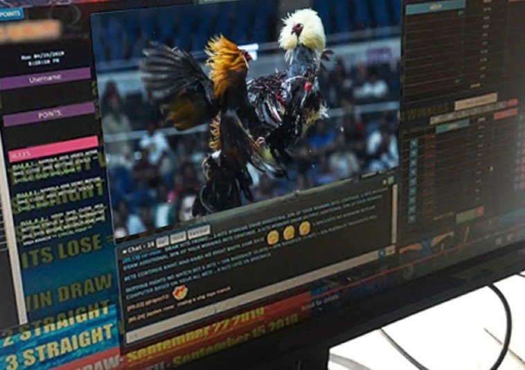 Lời Khuyên Từ Bj88 & Giải Pháp Nâng Cao